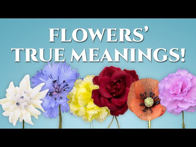 The True Meanings of Flowers, Revealed!