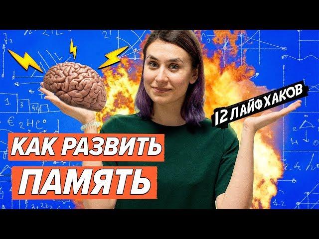 12 упражнений, которые помогли мне развить память и внимание