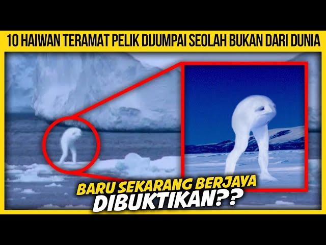 10 HAIWAN TERAMAT PELIK DIJUMPAI SEOLAH BUKAN DARI DUNIA