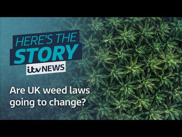 Are UK cannabis laws going to change? | ITV News