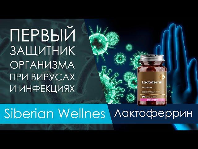 ОБЗОР. Лактоферрин - Expert Line Siberian Wellness. Мощная поддержка иммунитета