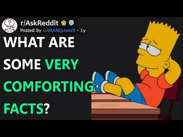 What Are Some VERY Comforting Facts? (r/AskReddit)