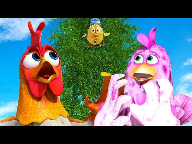 Where is The Baby Chick? - Videos for Kids