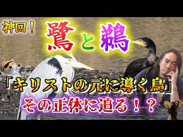 神回！鷺と鵜「キリストの元に導く鳥」その正体に迫る！？第181回