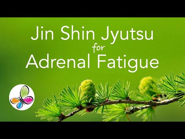 Jin Shin Jyutsu for Adrenal Fatigue