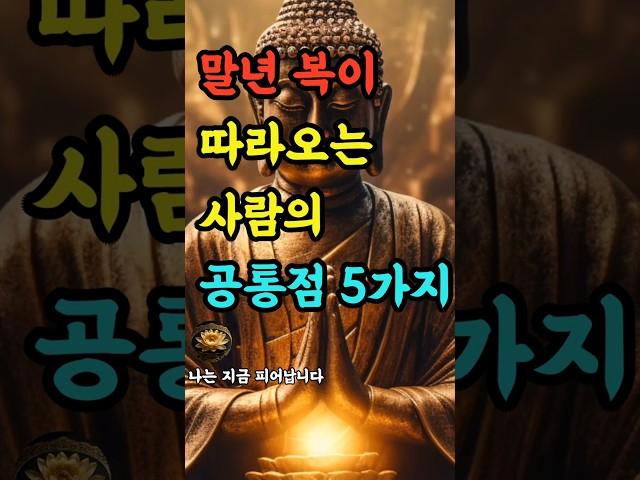 "말년 복이 따라오는 사람의 공통점 5가지" #부처님말씀 #불교명언 #삶의지혜 #인생조언 #처세술 #감정정화 #불교지혜 #마음공부 #인간관계 #오디오북