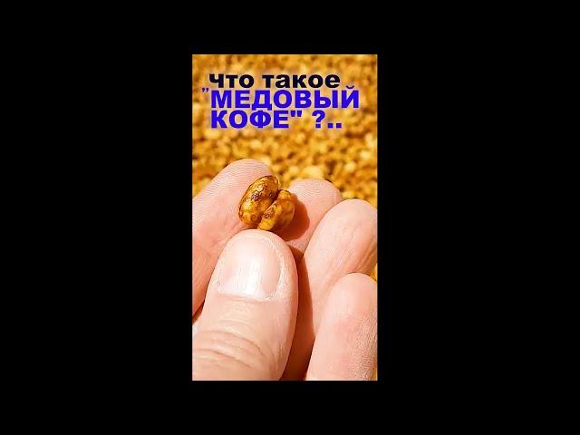 Есть ли МЕД в "Медовом Кофе"??? 