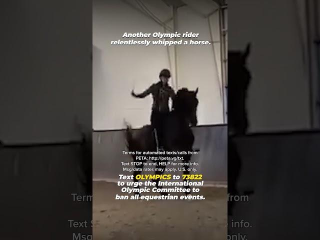 Olympic Rider Abused Horse