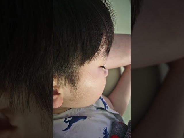 꿈나라 버미