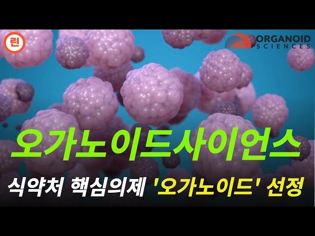 [오가노이드사이언스 분석] 매수타점은 '이렇게' 잡아보세요. #오가노이드사이언스