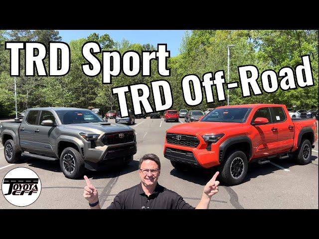 2024 Tacoma TRD Off-Road vs TRD Sport: Who Wins this Battle?!!