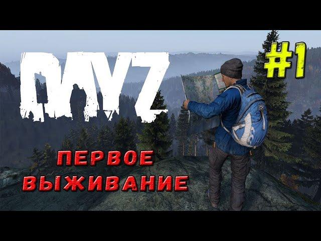 DAYZ Первое Выживание ч.#1  DAYZ ВЫЖИВАНИЕ С НУЛЯ В 2022