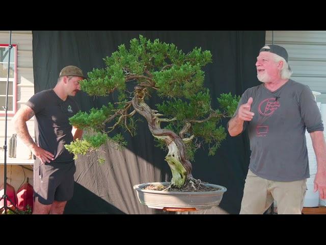 Reviving a Historical Prostrata Juniper: Featuring Guy Guidry and Randy Bennett