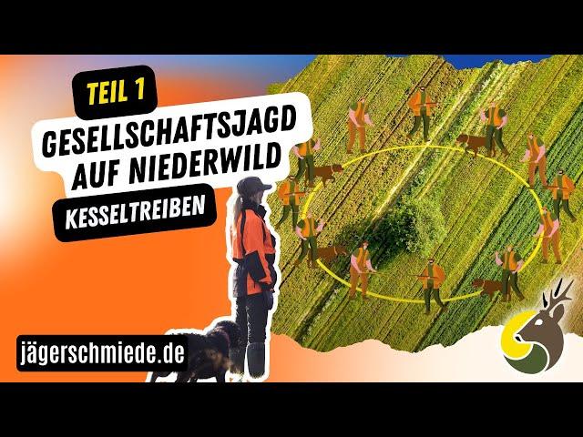 Gesellschaftsjagd auf Niederwild - Kesseltreiben (Teil 1/2)  Jagdpraxis leicht erklärt