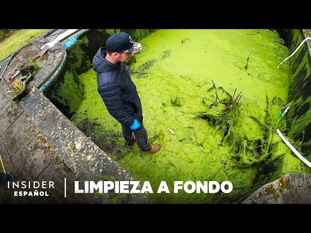 Cómo se limpian los fondos de las piscinas en profundidad | Limpieza a fondo | Insider Español