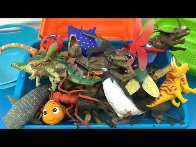 Toy Sorting Fun - Sea Animals, Dinosaurs, and Insects for Kids