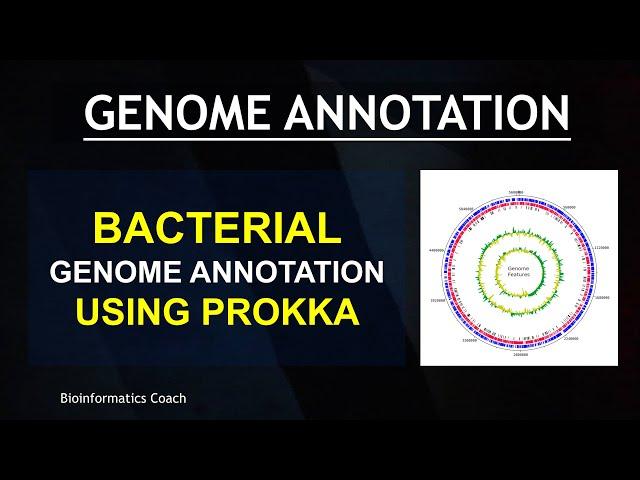 Bacterial Genome Sequence Annotation with PROKKA | genome annotation in bioinformatics