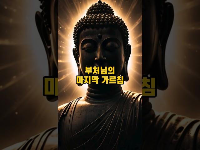 부처님의 마지막 가르침 #불교 #부처님 #불교입문 #불교이야기 #불교용어 #불교지식 #불교교리 #화엄경 #유마경 #지식