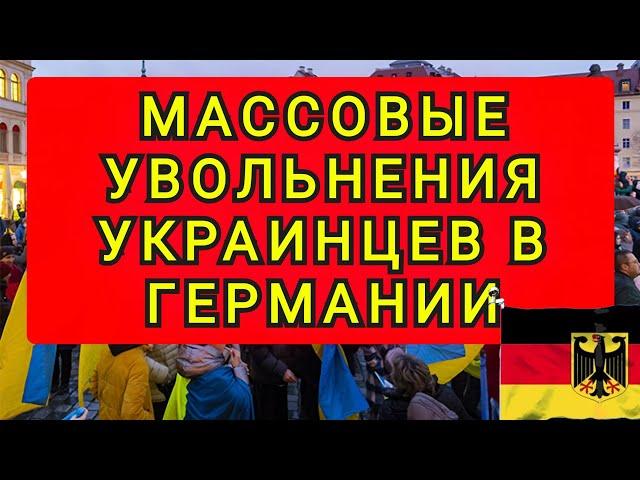 БЕЖЕНЦЕВ  НАЧАЛИ  МАССОВО  УВОЛЬНЯТЬ В ЕВРОПЕ !! КАК ПО КОМАНДЕ !!