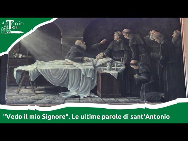 "Vedo il mio Signore". Le ultime parole di sant'Antonio