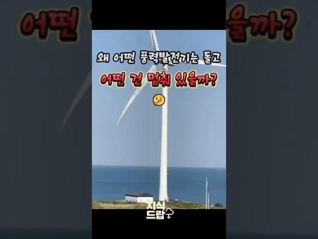 어떤 풍력발전기는 돌고 어떤 건 멈춰 있을까?