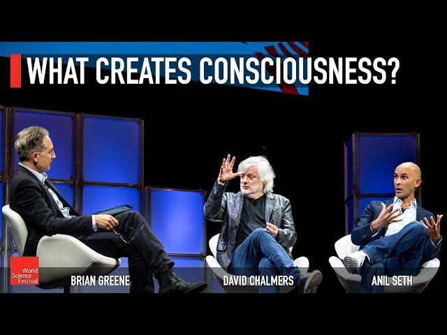 What Creates Consciousness?