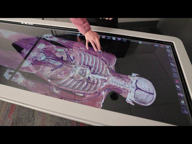 Kinesiology @ Miami: Where Science Meets Hands-on Experience