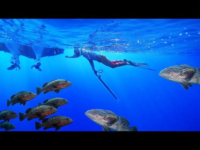 All Under The Boat! SO MANY GROUPER! Florida Key Fish Sandwich CnC