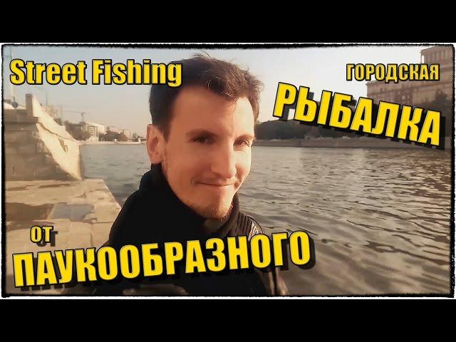 Street Fishing - Городская рыбалка от ПАУКООБРАЗНОГО :) | Немного из жизни...