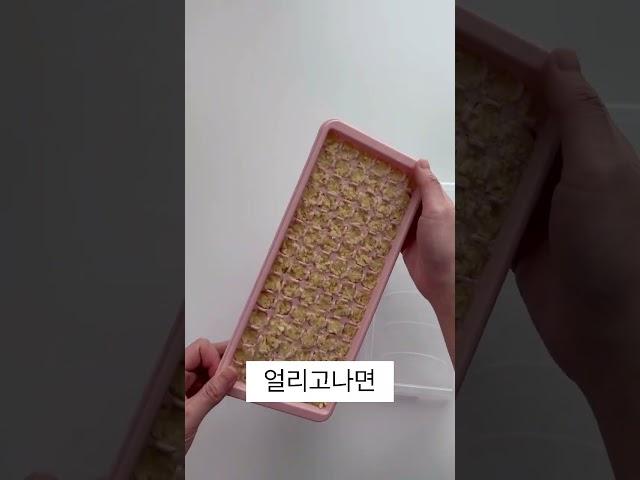 다진마늘 어떻게 보관하고 계세요?(다이소 꿀템️) #살림 #살림꿀팁 #살림템 #꿀팁 #꿀팁공유