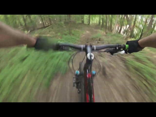 MTB trails in Mt Royal, Montreal