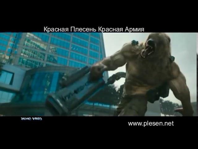 КРАСНАЯ ПЛЕСЕНЬ - КРАСНАЯ АРМИЯ. ФАН-КЛИП.