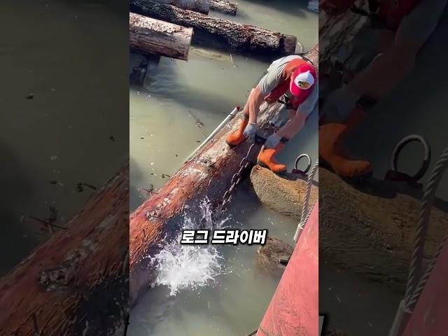 도로 대신 강을 이용하는 방식