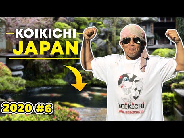 Koikichi Japan 2020 #6