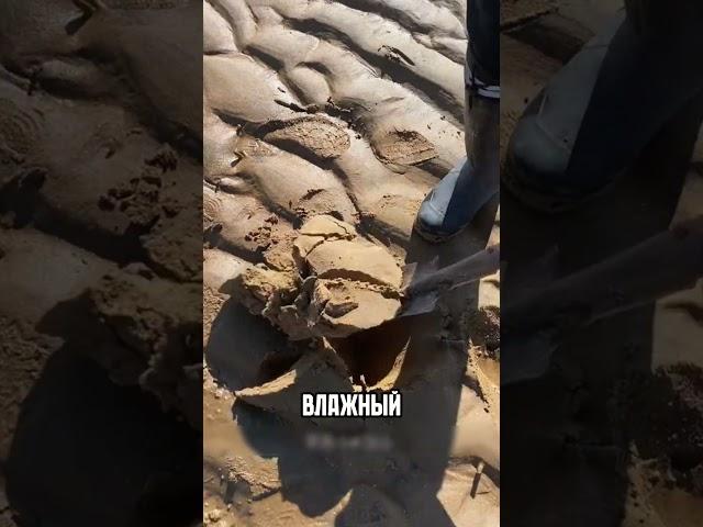 Клад в наследство  #наследство #клад #сокровища