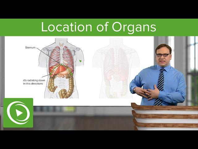  Locating Organs with Surface Landmarks: Do You Know Where Key Organs Are?