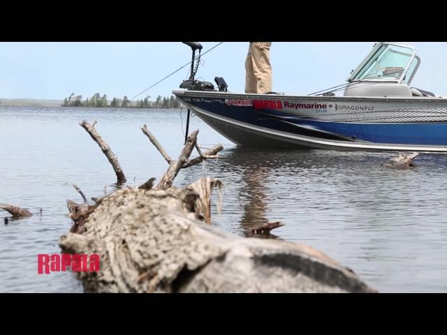 How to Target Northern Pike | Rapala Fishing Tips