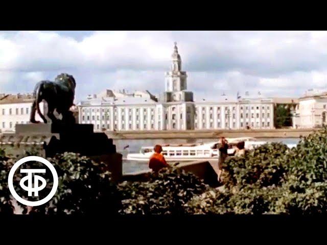 Пулковская астрономическая обсерватория. Служба солнца (1974)