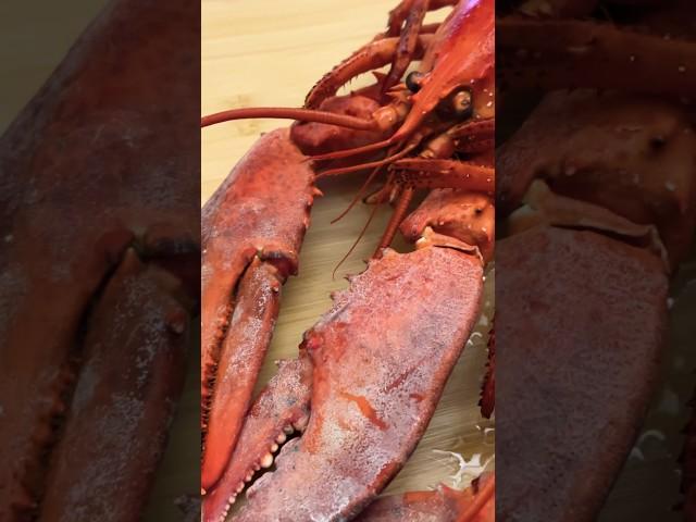 How to break a lobster crack-crack #lobster #spinylobster #lobstertail