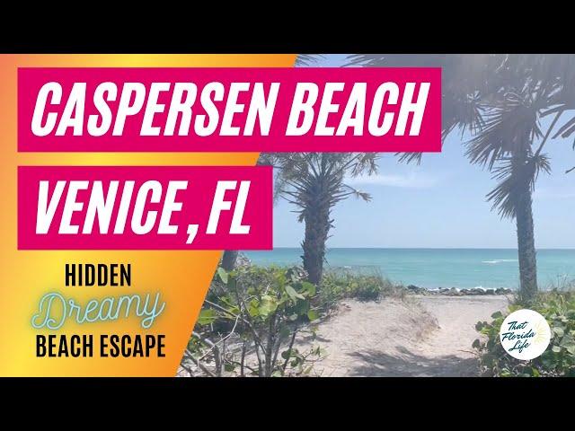 Caspersen Beach Venice, Florida: The BEST Natural Florida Beach? (and Shark Teeth!)