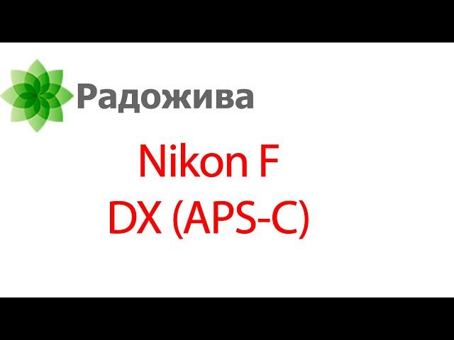 Кропнутые цифровые зеркальные фотоаппараты с байонетом Nikon F серии Nikon D (DX) - проблемы системы