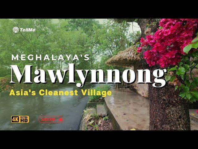 5 Reasons Mawlynnong is Asia's Cleanest Village You Never Knew