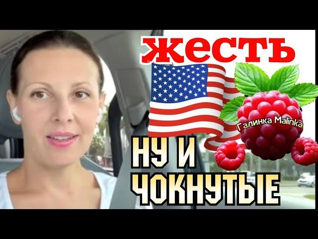 Big Big Family in the USA /Без бокала нет вокала /Обзор /Жизнь в Америке /США Vlog /Funny 4