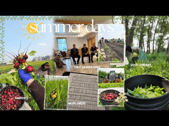Pentecost holidays + the days after | first garden work of summer, a chatty vlog