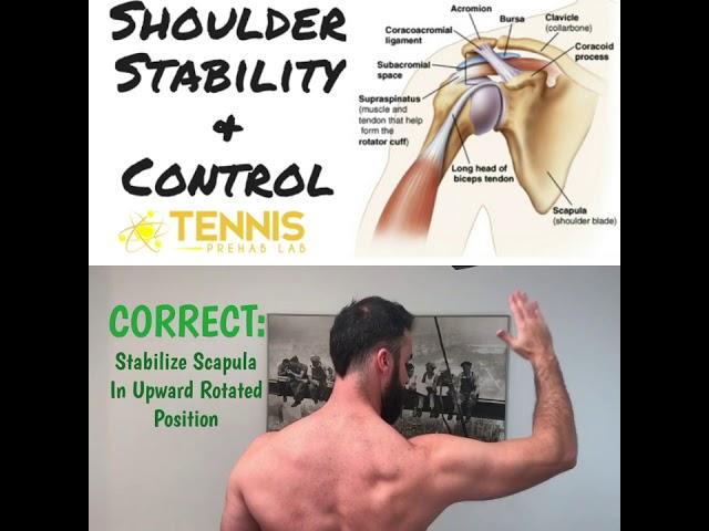 Shoulder and Scapular Control and Stability Exercise