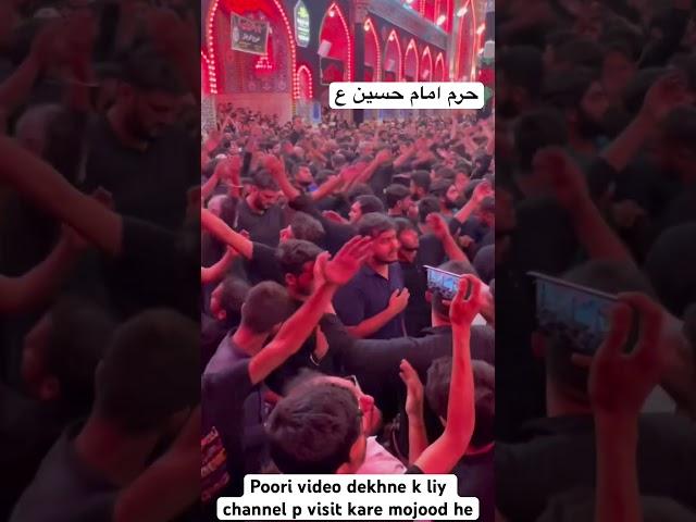 azadari in imam hussain holy shrine Karbala #karbala #imamhussain #arbaeen #كربلاء #karbalastatus