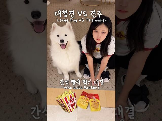 Large Dog vs The Owner: Eat faster challenge