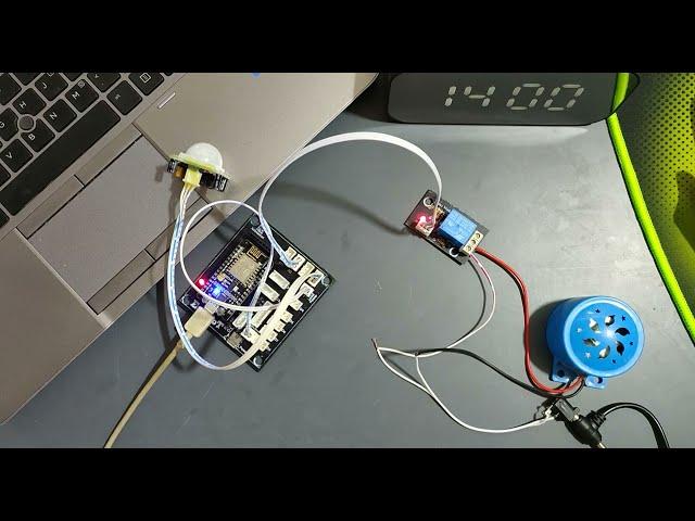 Thief Detector using PIR Sensor