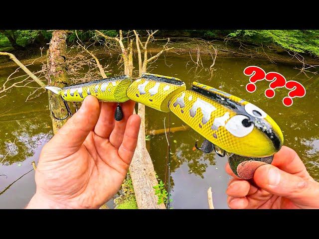 Un leurre serpent pour pêcher les monstres de la rivière ! ( GROSSE SURPRISE )