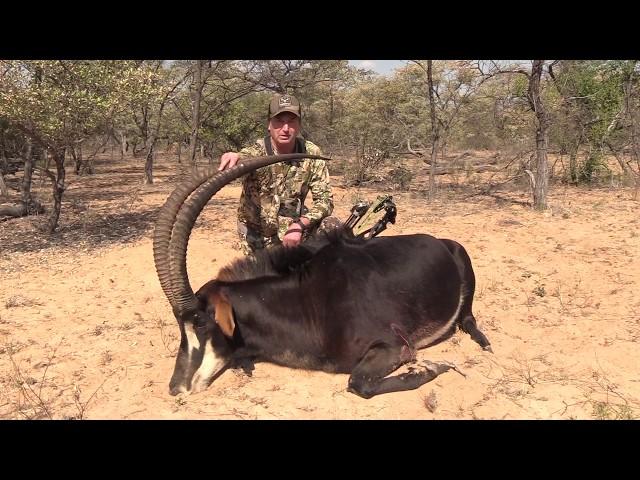 Bowhunting GIANT African Sable W/ Bob Fromme